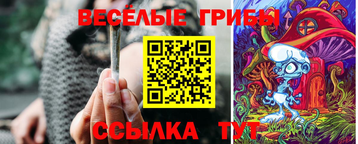 Кызыл  Псилоцибиновые грибы мухоморы  Вход с VPN 